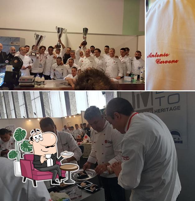 ll Pinguino Gelateria Gaeta