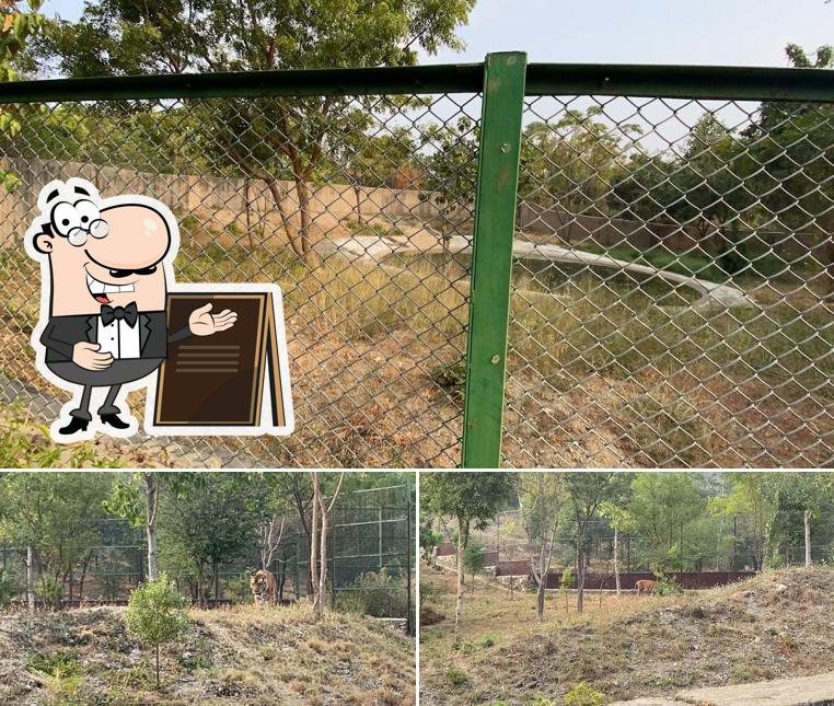 Sajjanbagh Restaurant