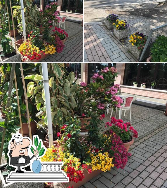 Guarda gli esterni di Bar Arci Cona