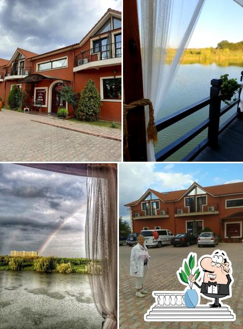 Jetez un coup d’œil à quoi ressemble Mandaloun Garden by Lacul Racilor à l'extérieur