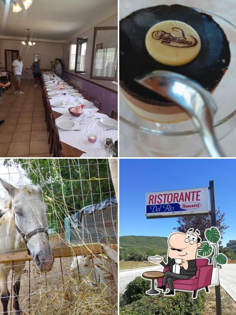 Gli interni di Del Rio