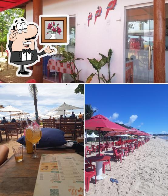 Veja imagens do interior do Mundai Beach