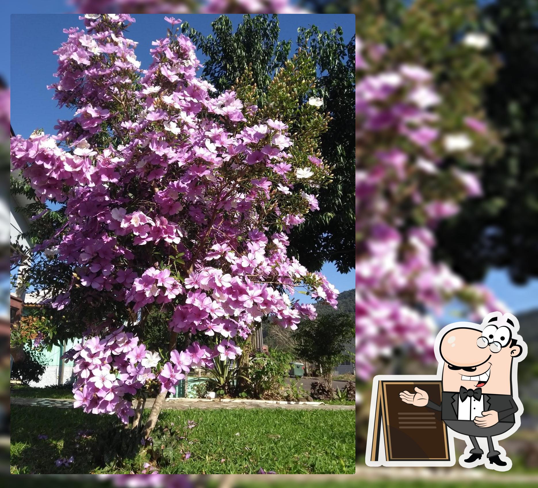 Veja a área externa do Cristo Rei - Bar