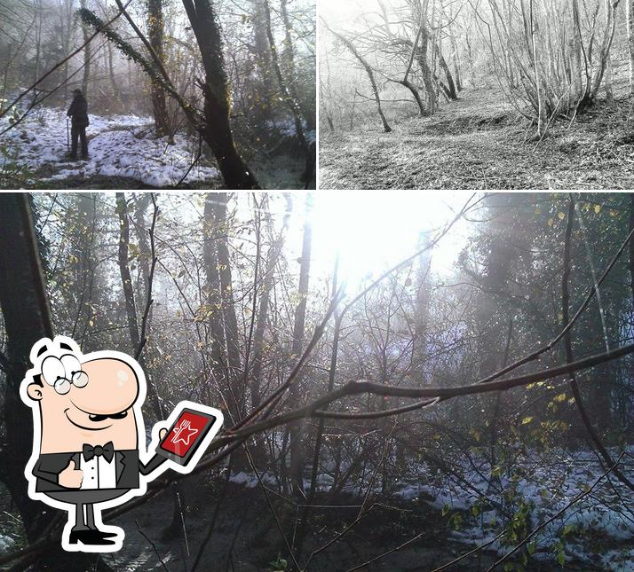 Gli esterni di Tartufo Fresco