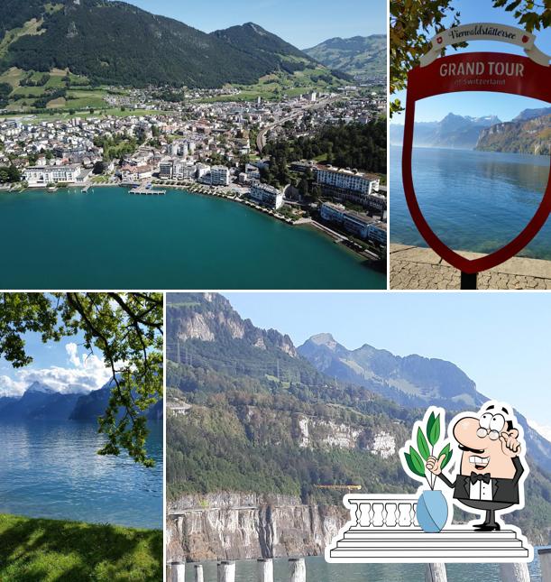 Guarda gli esterni di Café Bar Amadeus