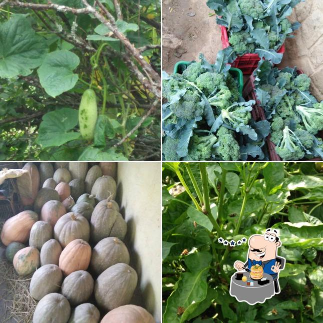 Food at Ramana's Organic Cafe