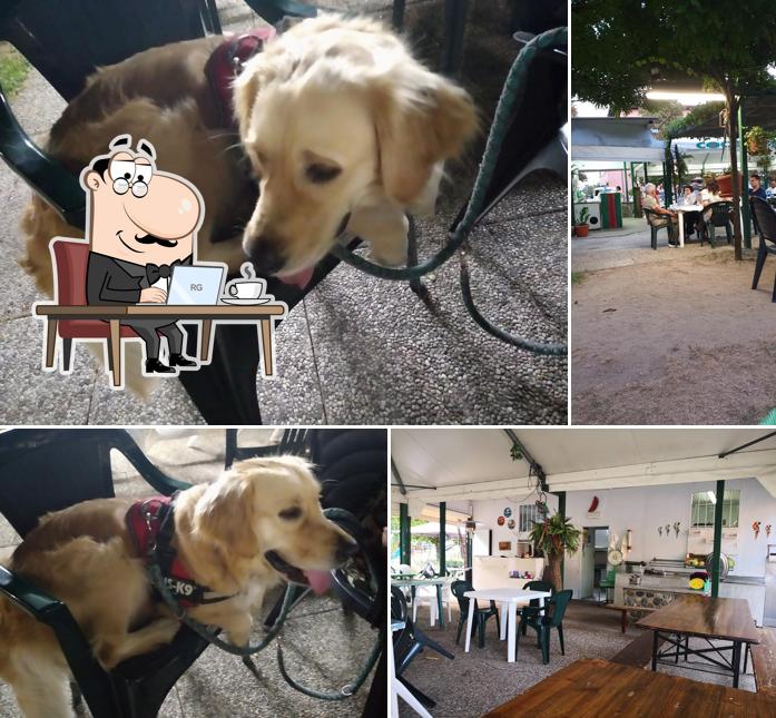 Gli interni di Coco verde