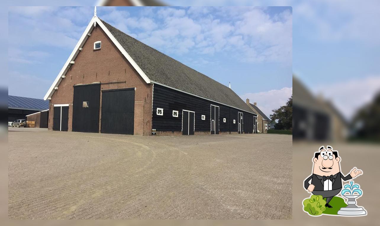 Goditi la vista dall'area esterna di Luigi's Burger & Burritos - FORTE DEI MARMI