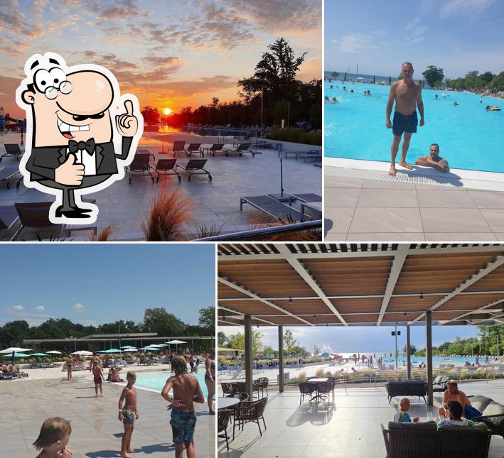 Ecco un'immagine di Buffet&bar Canova