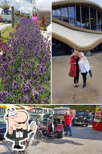 Guarda la foto di Bistro Lipa, gostinstvo d.o.o