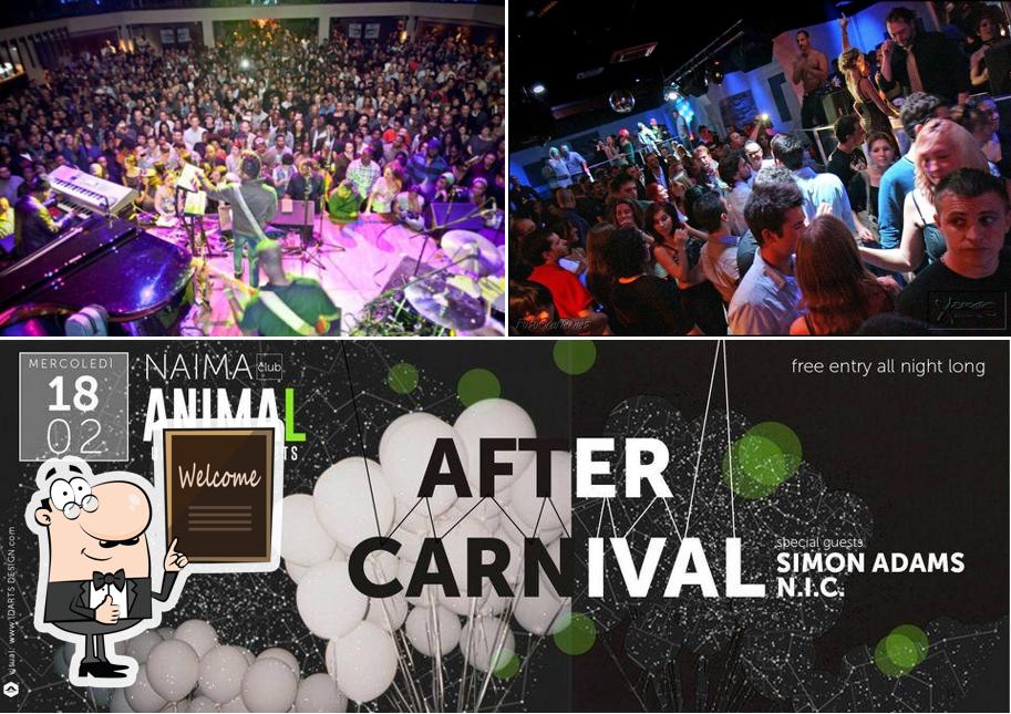 Ecco un'immagine di Macaki