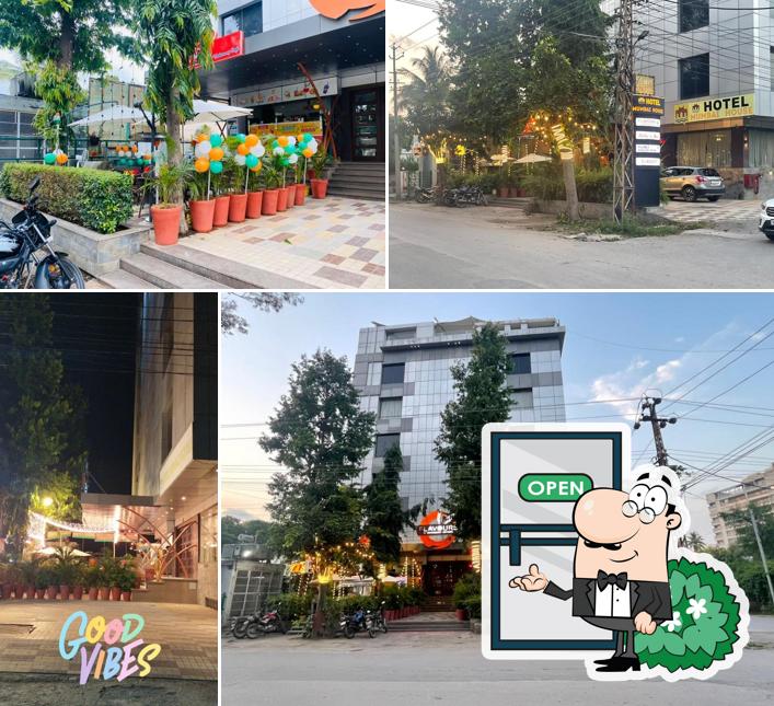 TSC - The ShoShaaa Café - 1, टी.एस.सी. - शोशा कैफे - 1, Old Income Tax Office Road Best Cafe of Udaipur