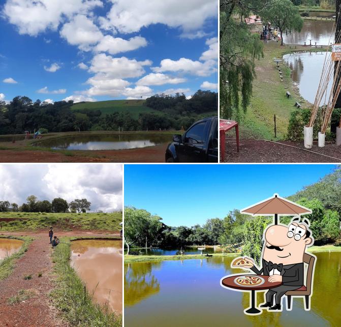 Você pode espairecer no exterior Rei Do Peixe