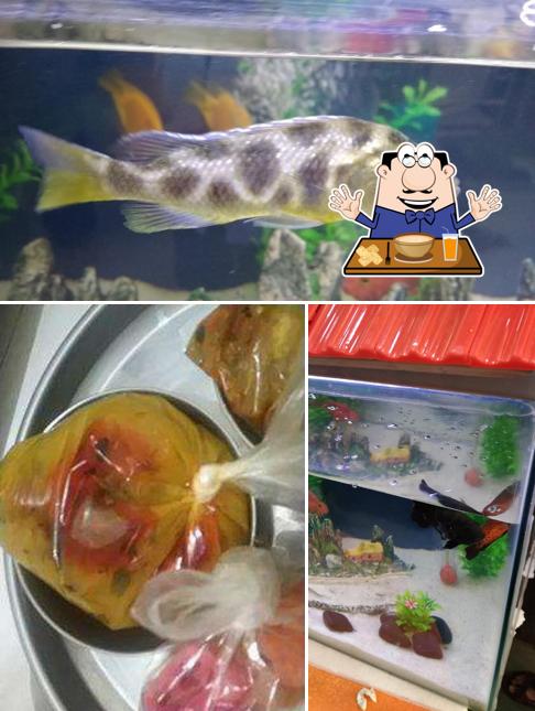 Meals at New Abhishek Restaurant