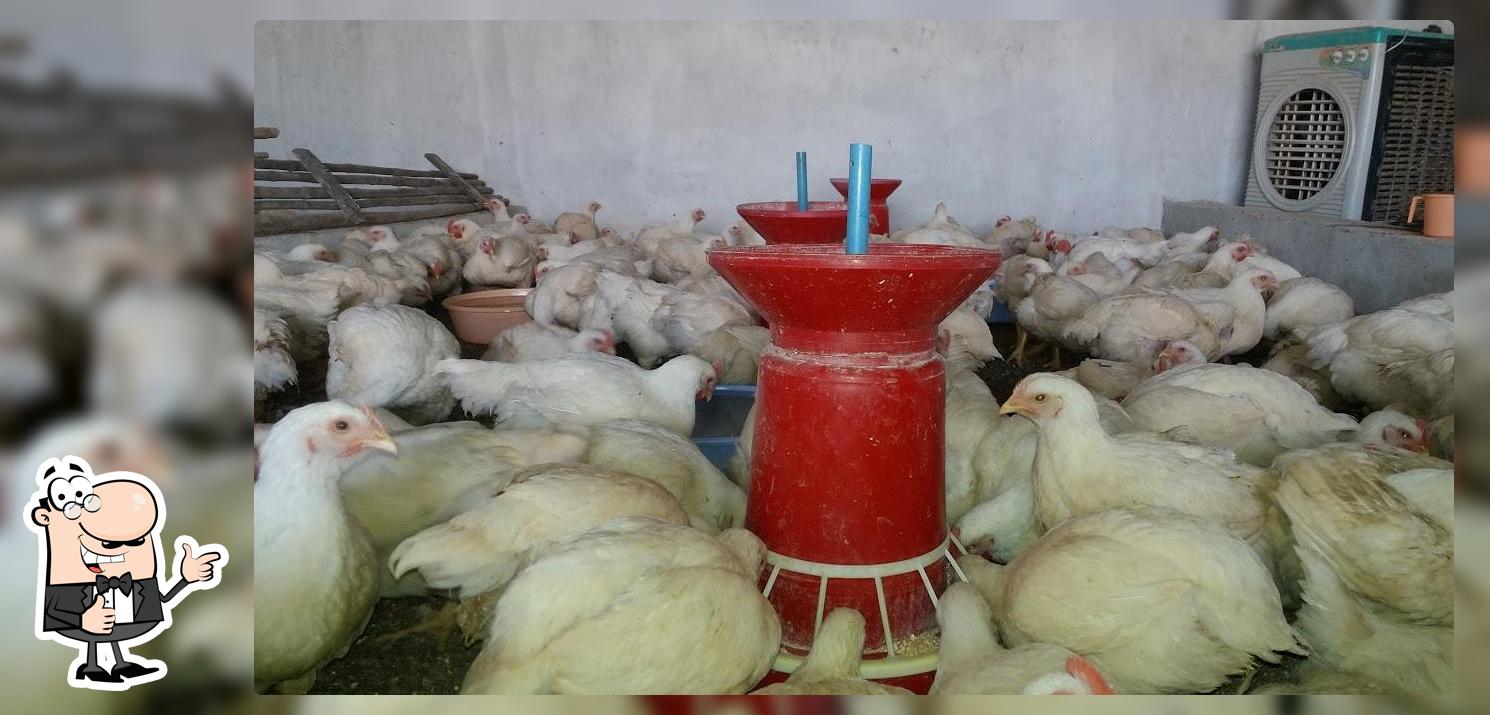 Halal Poultry Traders. Whole Sale & Retail All Functions Orders Undertaken