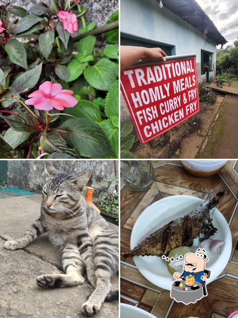 Meals at Homely Meals