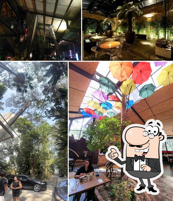 Desfrute da vista da área externa do Canto da Mata Forneria