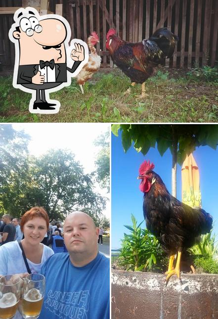 Guarda la foto di Coffee BAKH bar