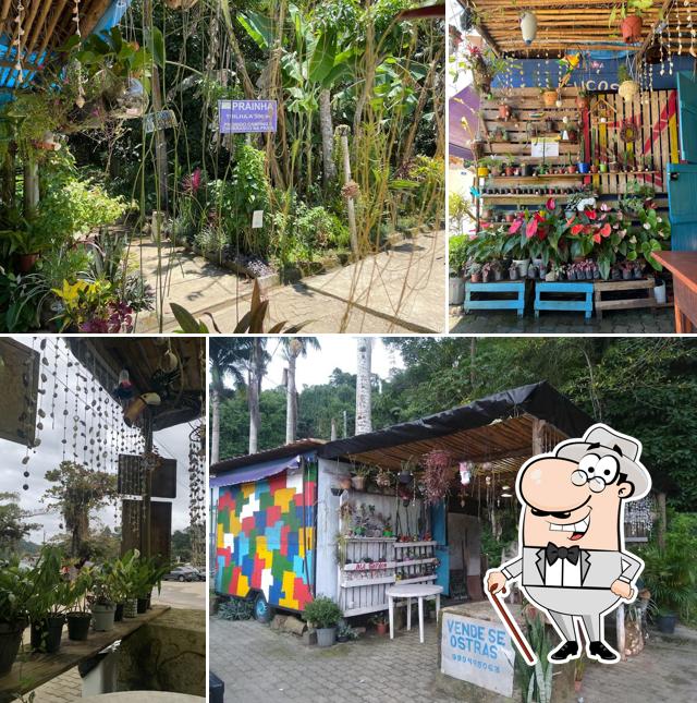 O exterior do Trailer do Waguinho Paraty RJ