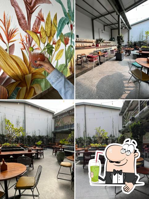 Terrace Bar & Kitchen