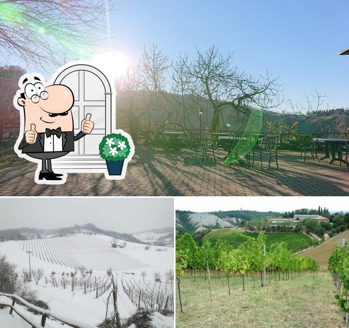 Guarda gli esterni di Agriturismo Malcantone Guidotti