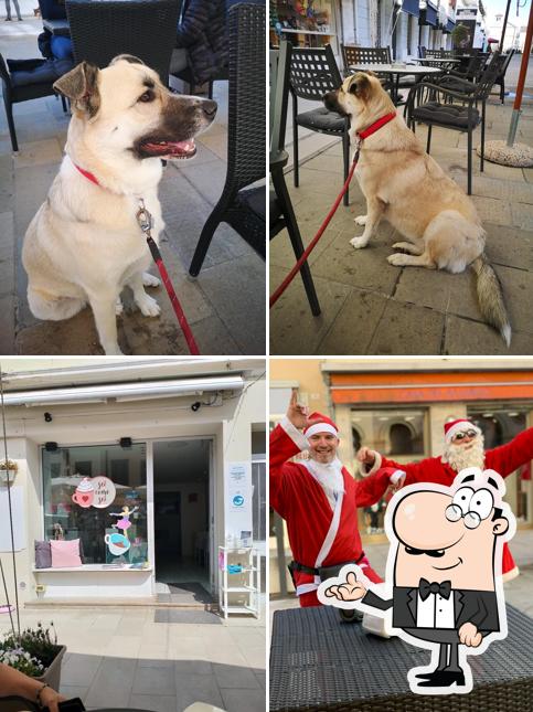 Sei Come Sei Caffè & Wine Bar