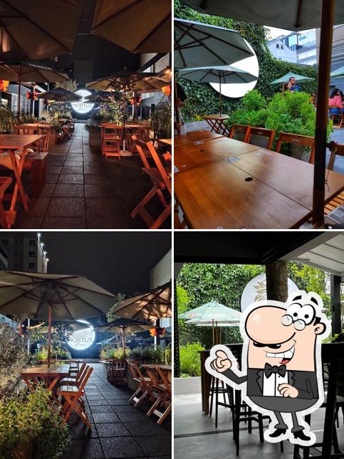Veja imagens do interior do Hortus Bar
