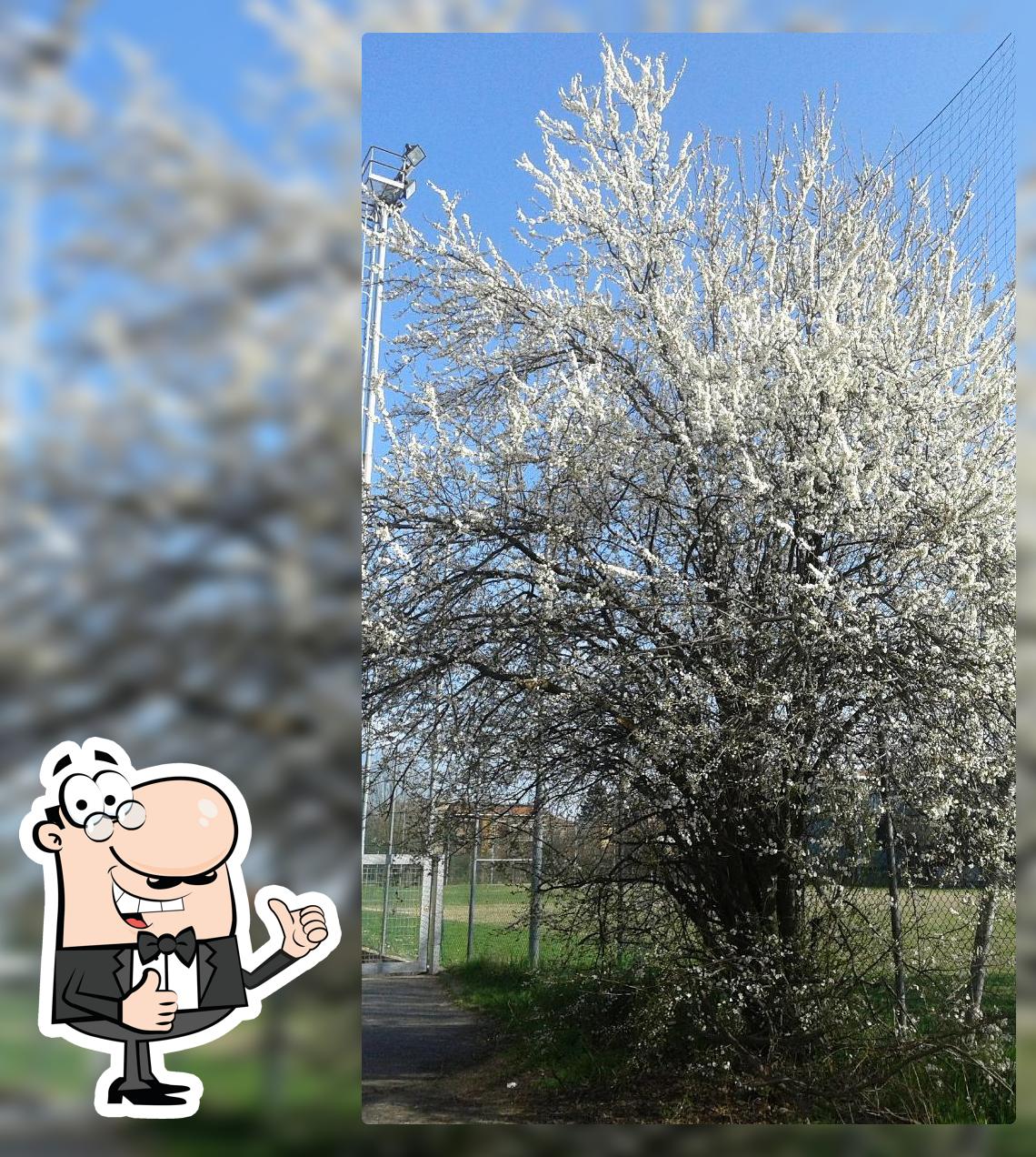 Bar Snack Bar Daviddi