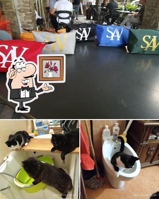 Gli interni di Giolli Bar Roma