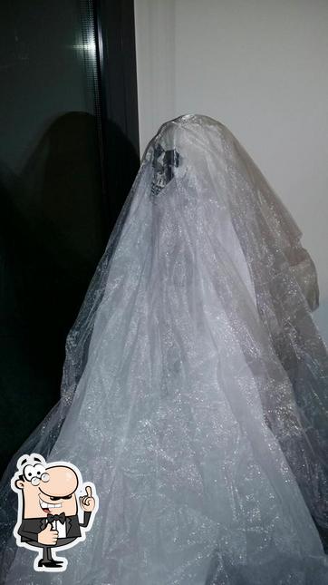 Guarda la immagine di Sesa Revolution