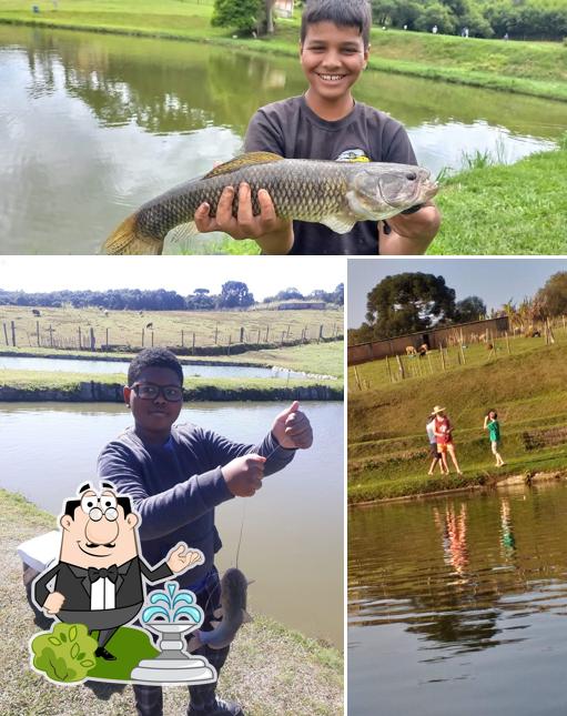 a parte exterior é uma característica importante do Pesqueiro Avestruz *Sob Nova Direção* atualmente Pesque Pague Estrada Ecológica