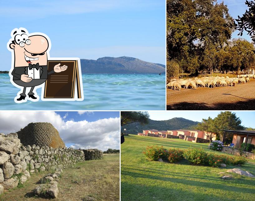 Guarda gli esterni di Oasi Losa Lato Ovest