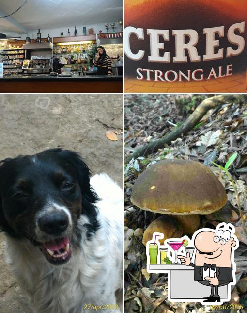 Enoteca Le Stiacciole