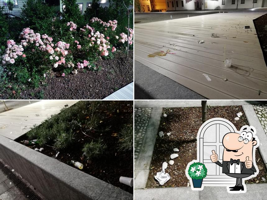 Antico Bar Degli Angeli