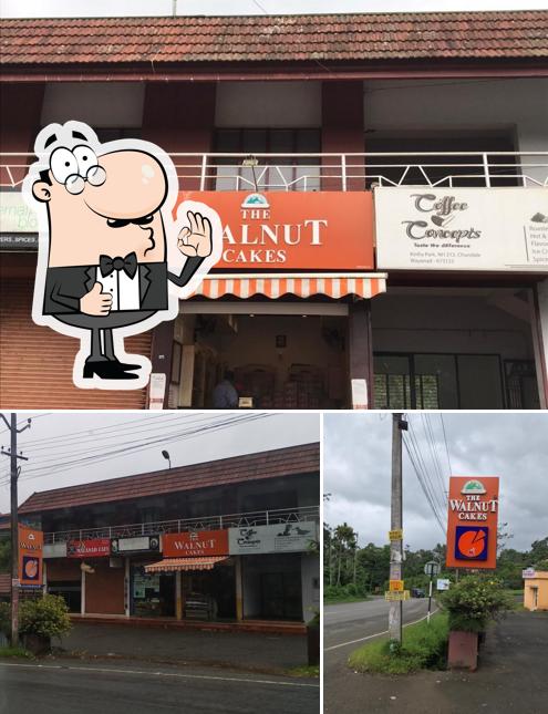 Here's a picture of THE WALNUT CAKES