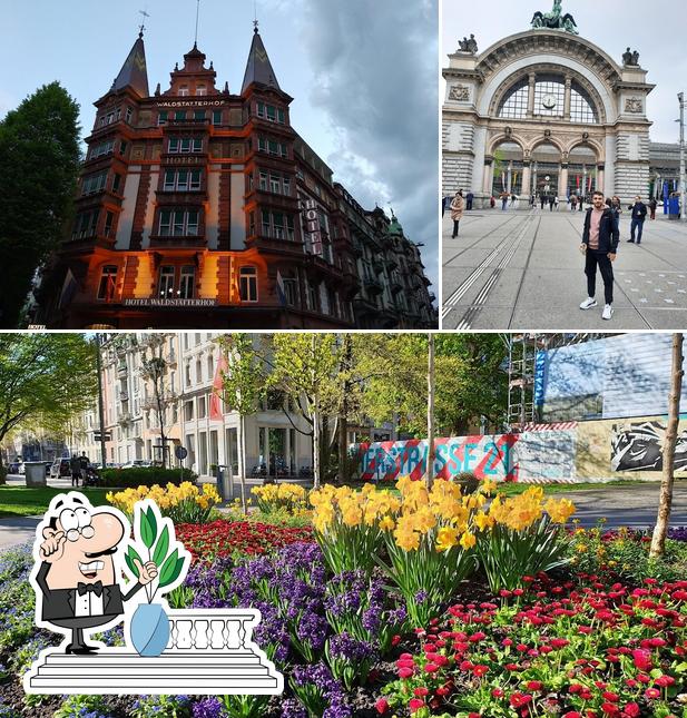 Goditi la vista dall'area esterna di McDonald’s