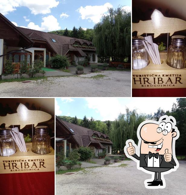 Ecco una foto di Stanislava Hribar - Nosilka dopolnilne dejavnosti na Kmetiji- Turistična kmetija Hribar