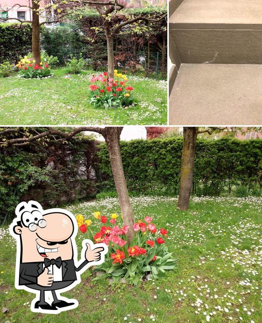 Bar Pizzeria Paradiso