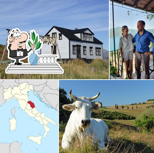 Gli esterni di Paganelli's