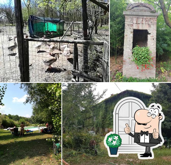 Agriturismo Pier Luigi Peri Specialista in Tempo Libero