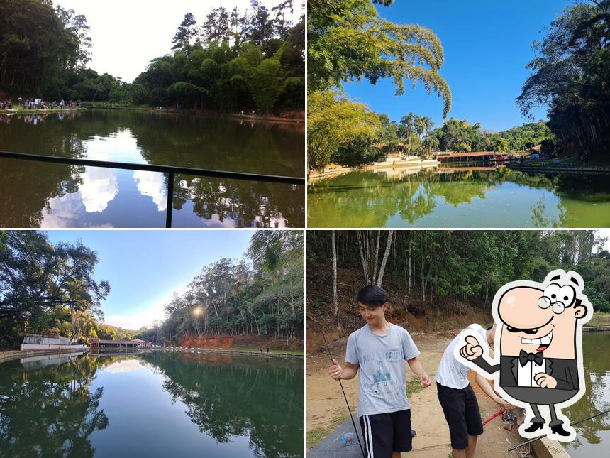 Você pode espairecer no exterior Pesqueiro Pingolandia