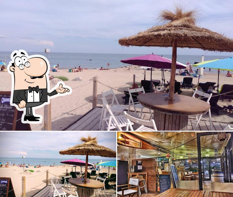 Découvrez l'intérieur de La Pirogue