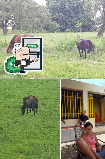 Dê uma olhada a imagem apresentando exterior e interior no Restaurante e Pizzaria Recanto do Vitor