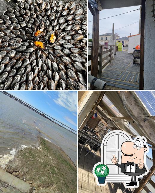 Bar à Huîtres Le Mollin