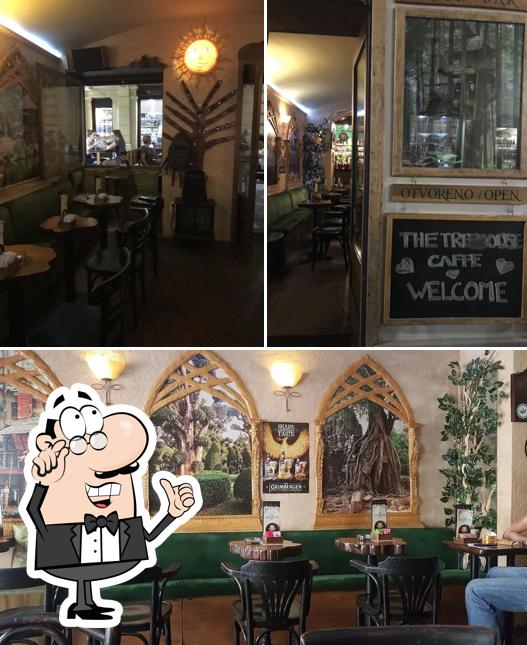 Gli interni di The Treehouse caffe