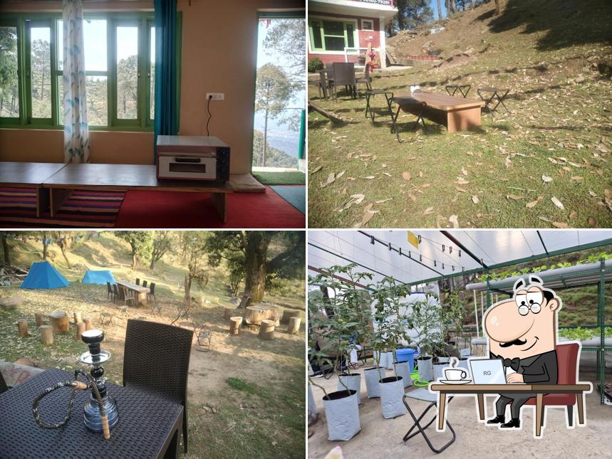 Check out how Swiss Bliss looks inside