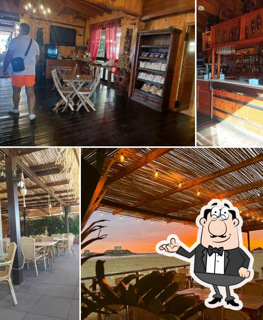 Dai un'occhiata agli interni di Tiwi