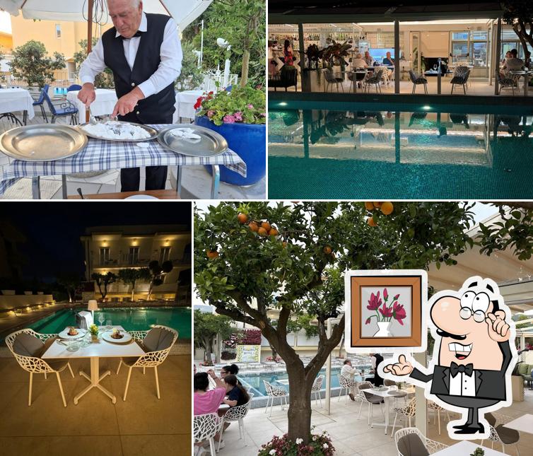 Bella Ida Lemon Garden