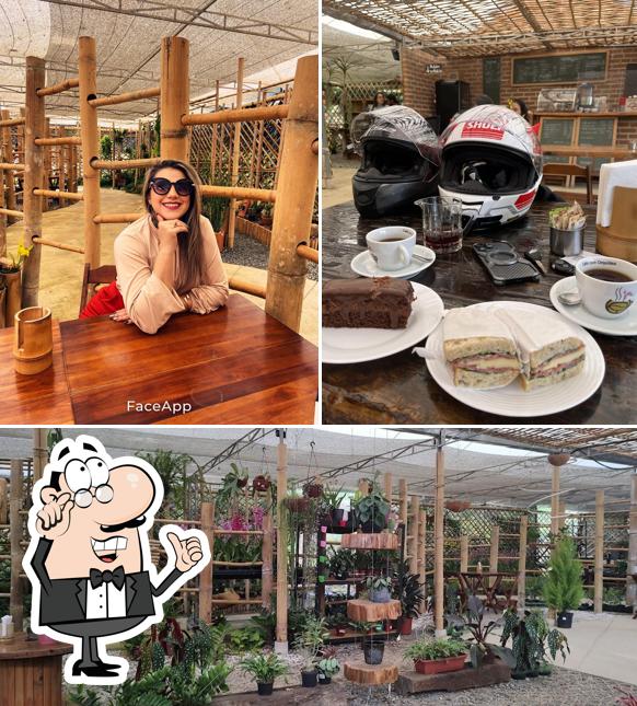 Veja imagens do interior do Café Com Orquídea