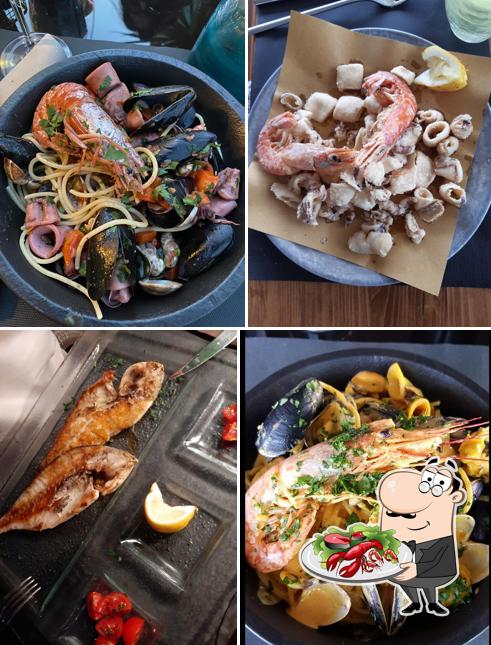 Bee Fly Ocean Bay Club